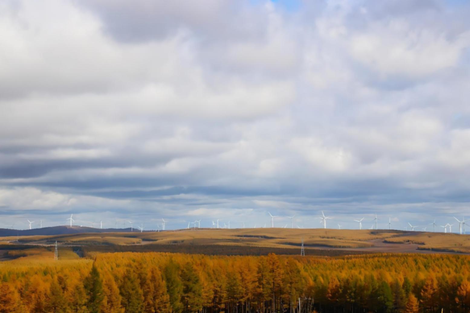 Структура образовательной программы